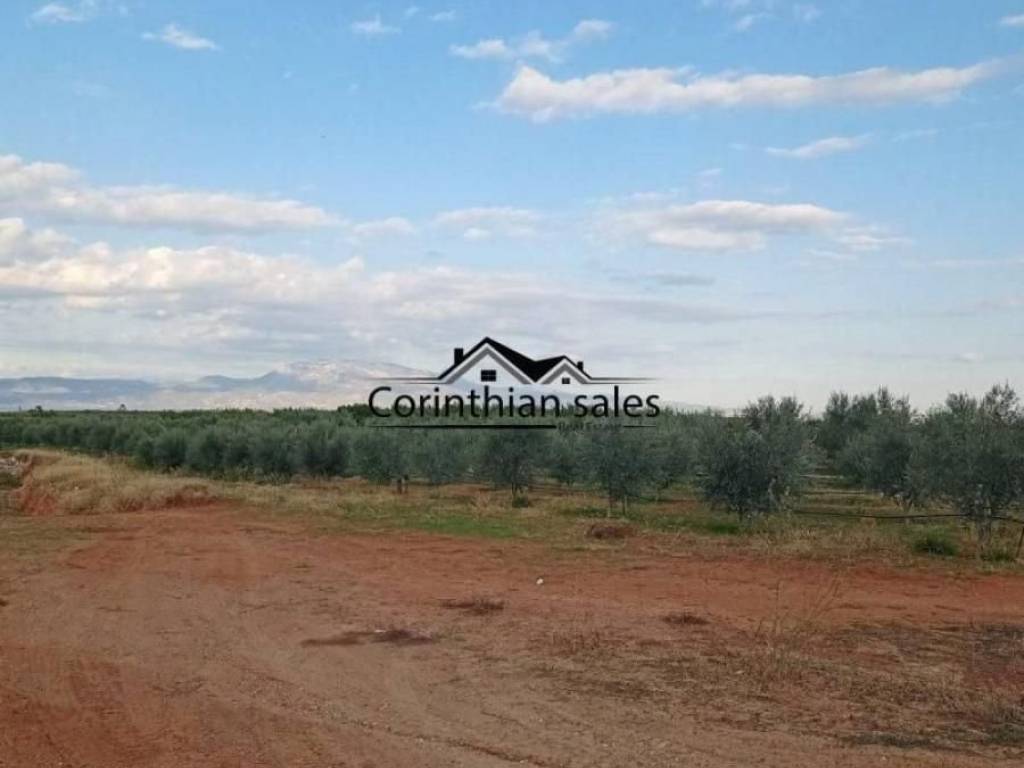 Αγροτεμάχιο