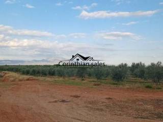 Αγροτεμάχιο