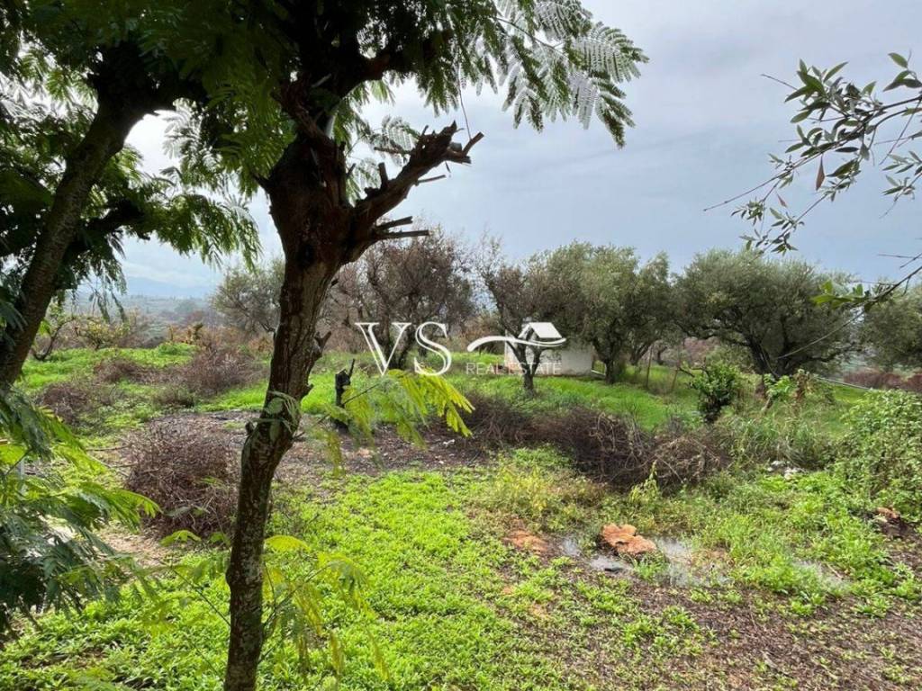 Θέα απο μπαλκόνι