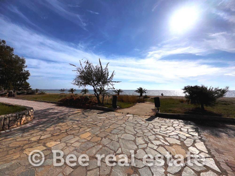 Άποψη εξωτερικού χώρου