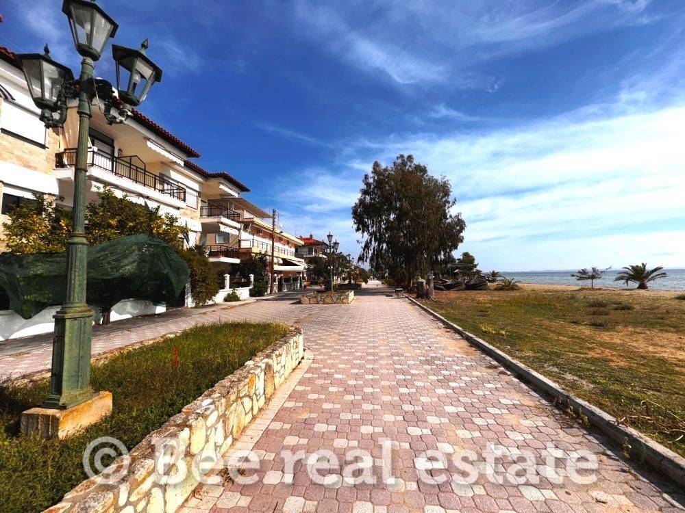 Άποψη εξωτερικού χώρου