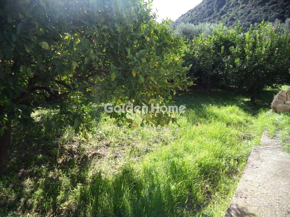 Εξωτερικός Χώρος