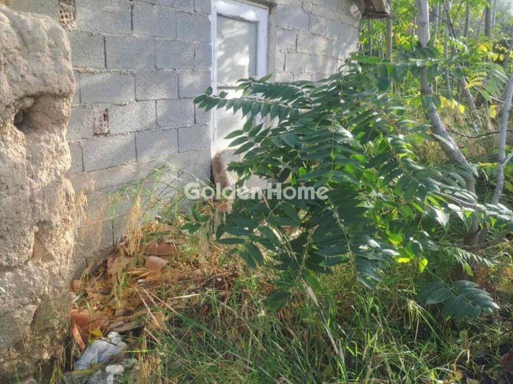 Εξωτερικός Χώρος