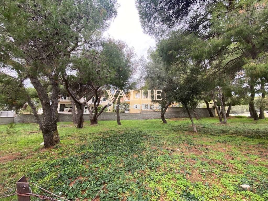 Εξωτερικοι χώροι