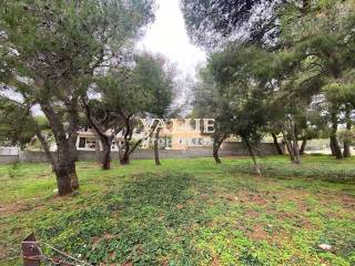 Εξωτερικοι χώροι