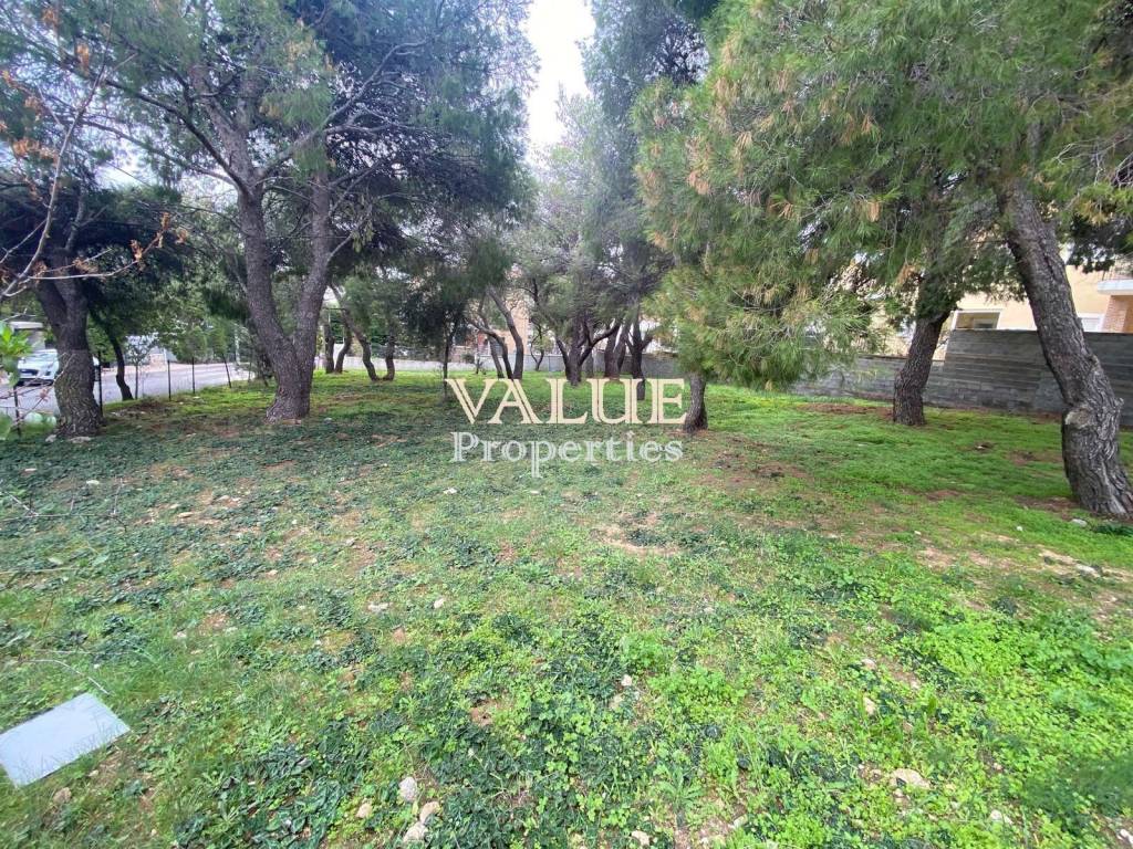 Εξωτερικοι χώροι