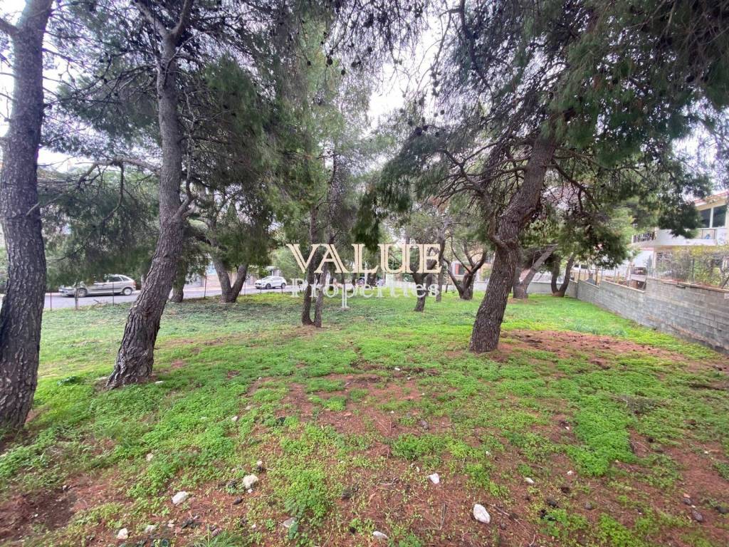 Εξωτερικοι χώροι