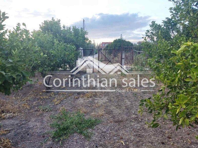 Άποψη οικοπέδου