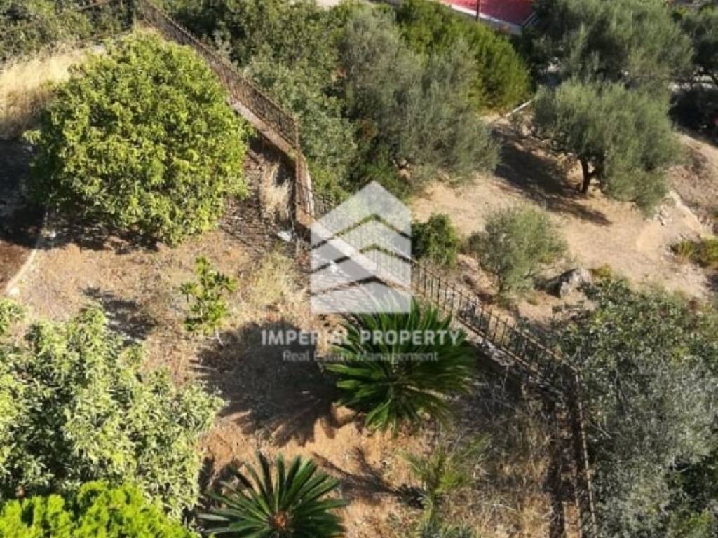 Ύπαρξη ανθρώπου