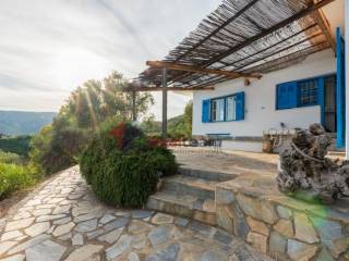 Εξωτερικοι χώροι