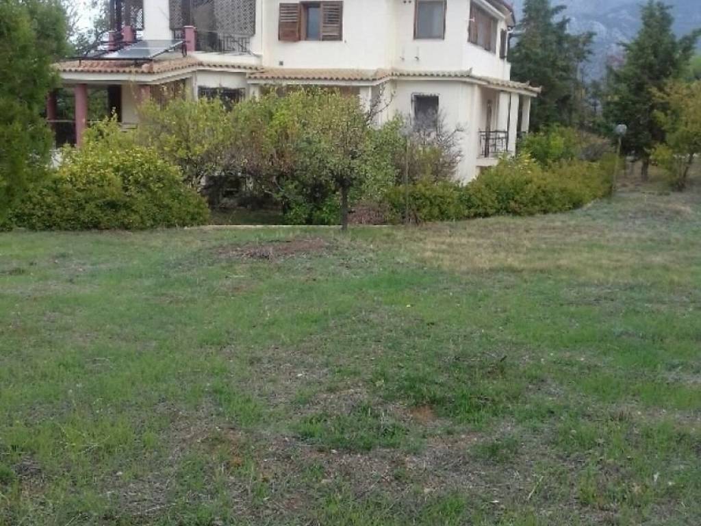 Εξωτερικός χώρος