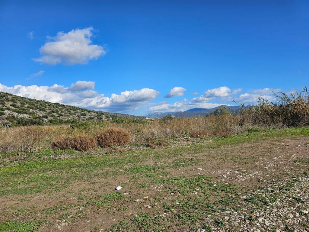 total area of 20 acres