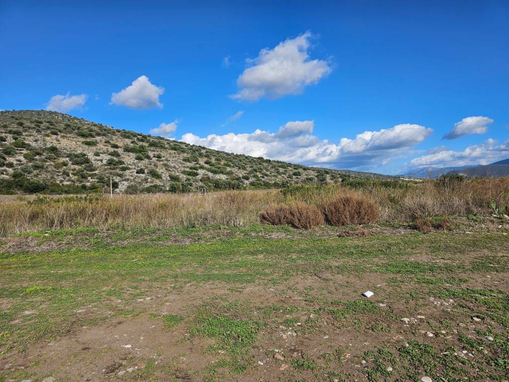 total area of 20 acres