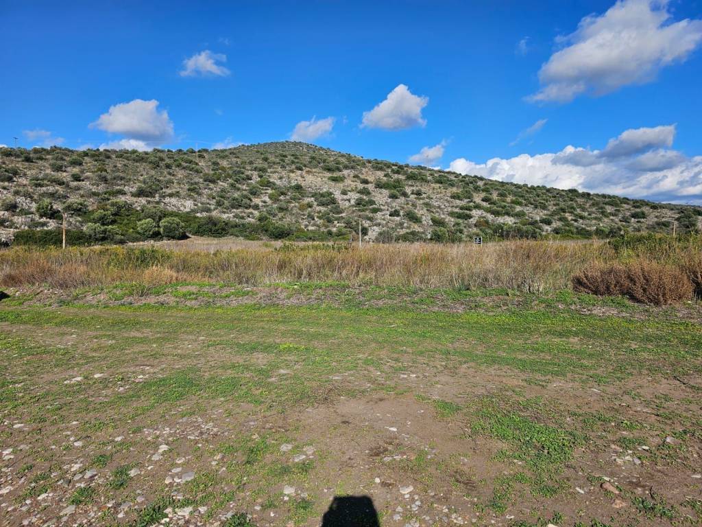 total area of 20 acres