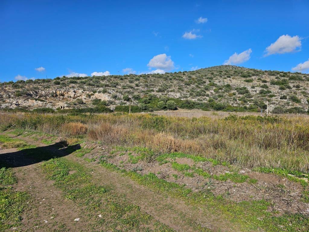 total area of 20 acres