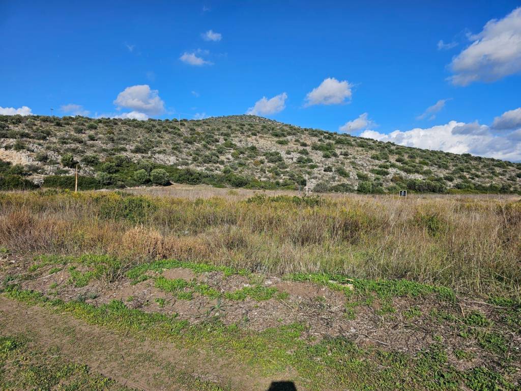 total area of 20 acres