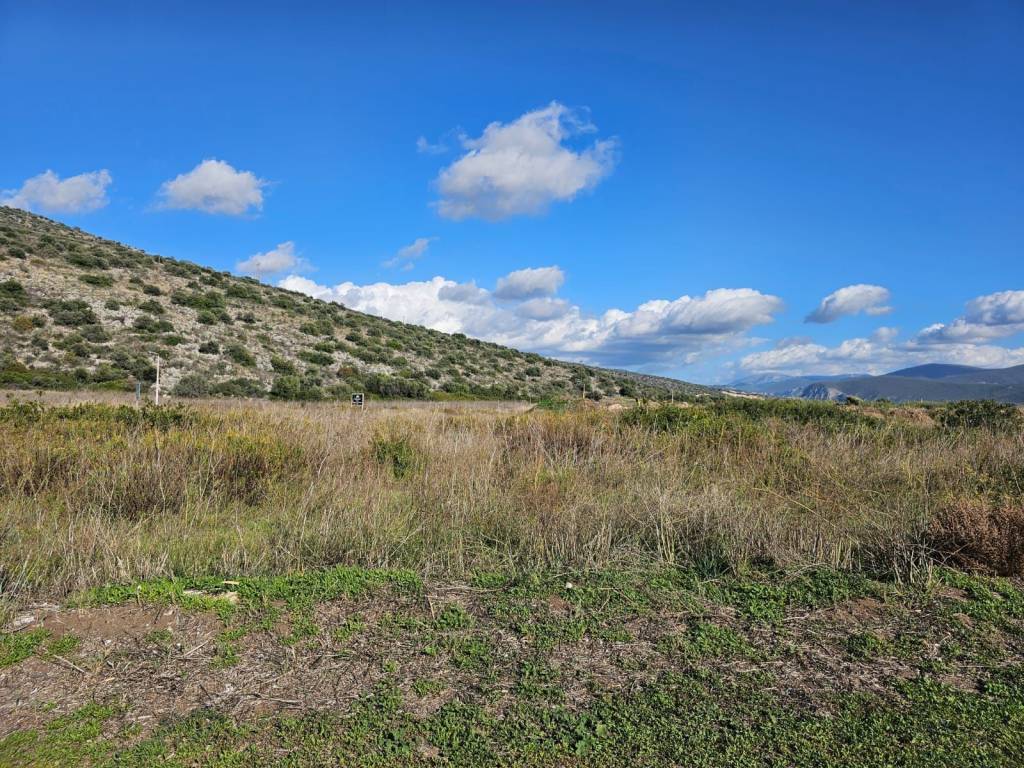 total area of 20 acres