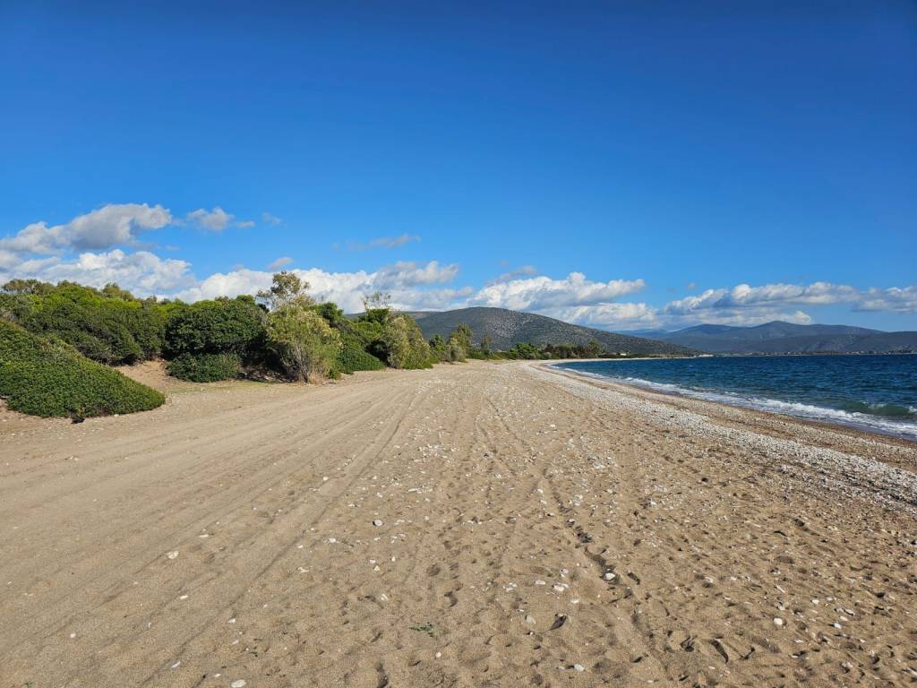 Unique investment property