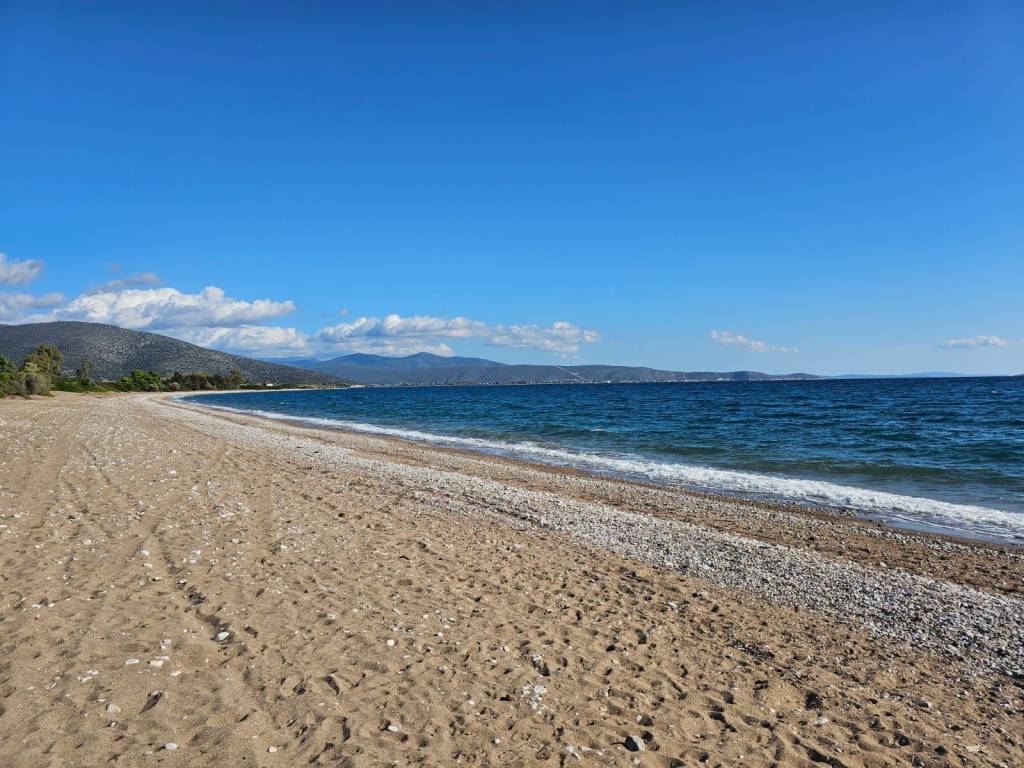 Unique investment property