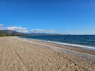 Unique investment property