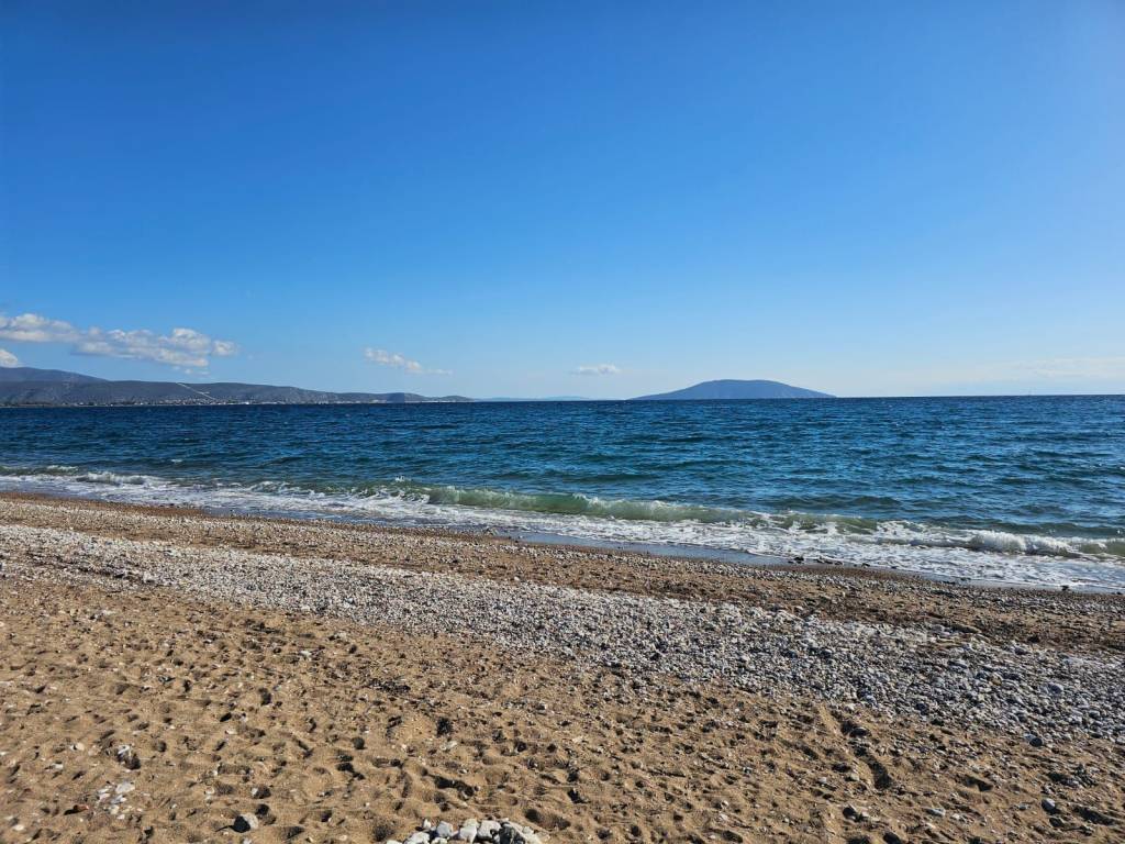 Unique investment property