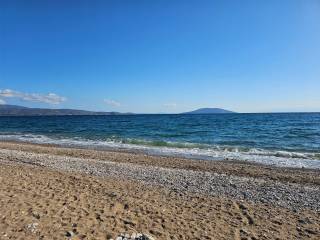 Unique investment property