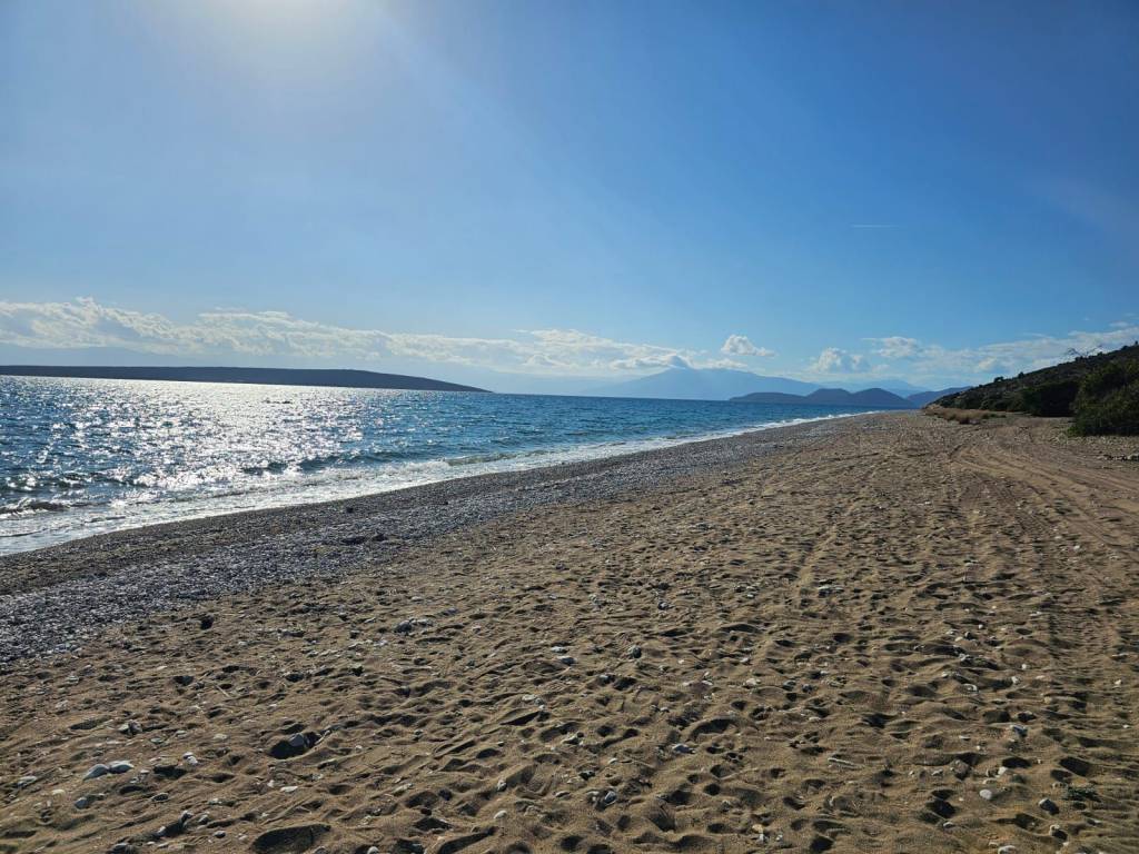 Unique investment property