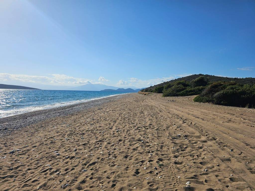 Unique investment property