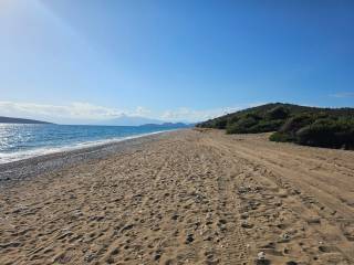 Unique investment property