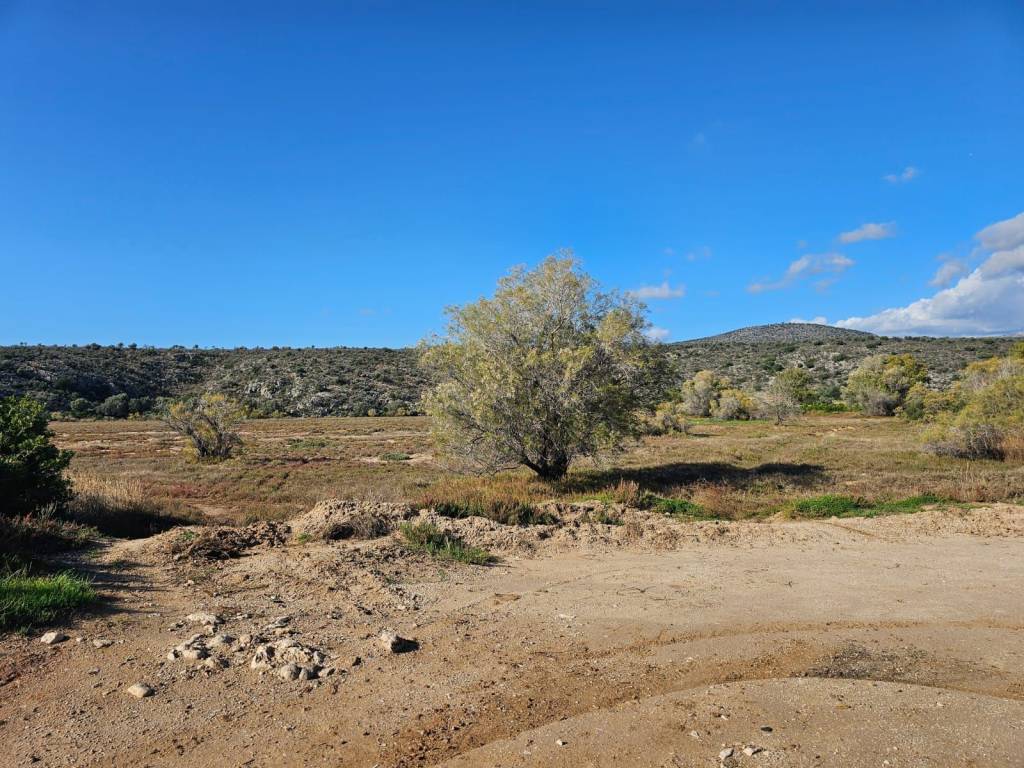 Unique investment property