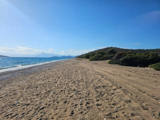 Unique investment property