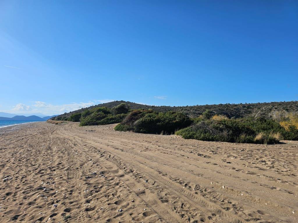 Unique investment property