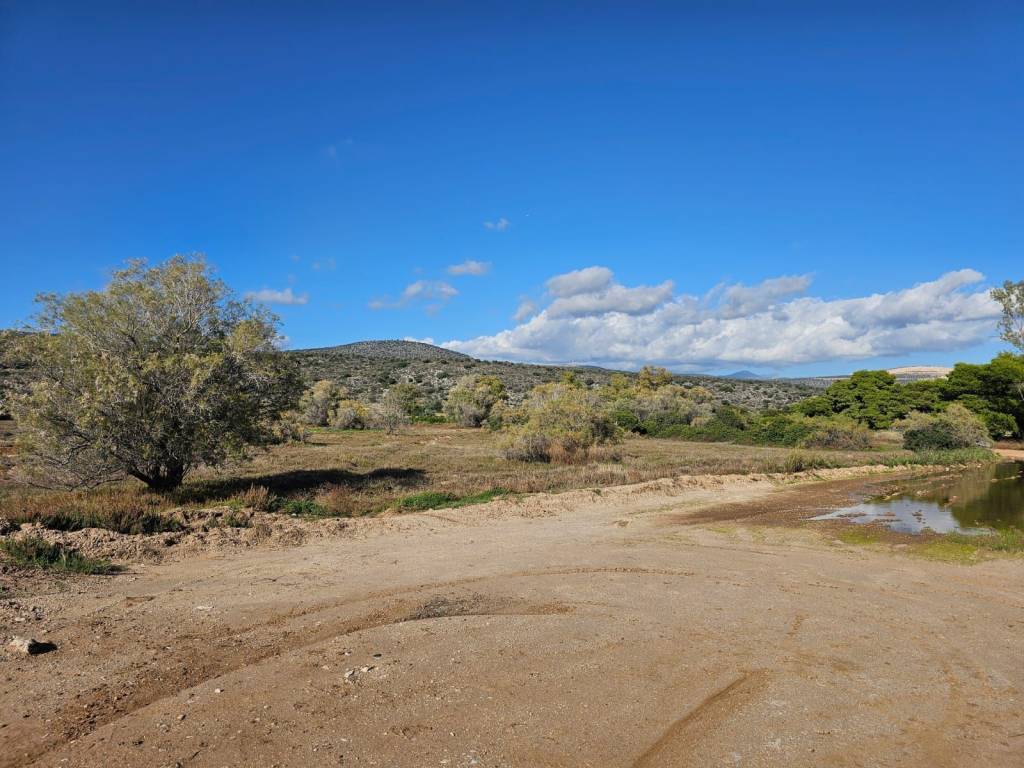 Unique investment property