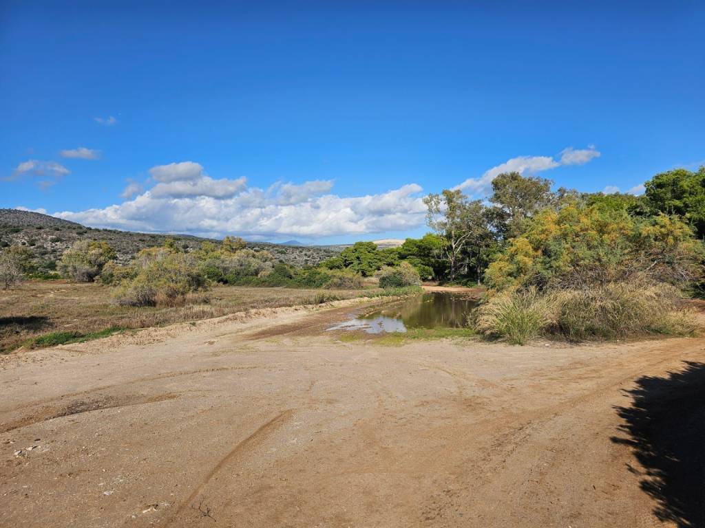 Unique investment property