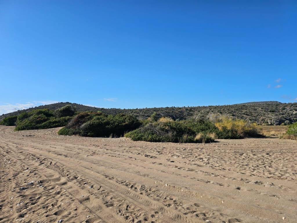 Unique investment property