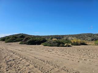 Unique investment property