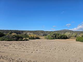 Unique investment property