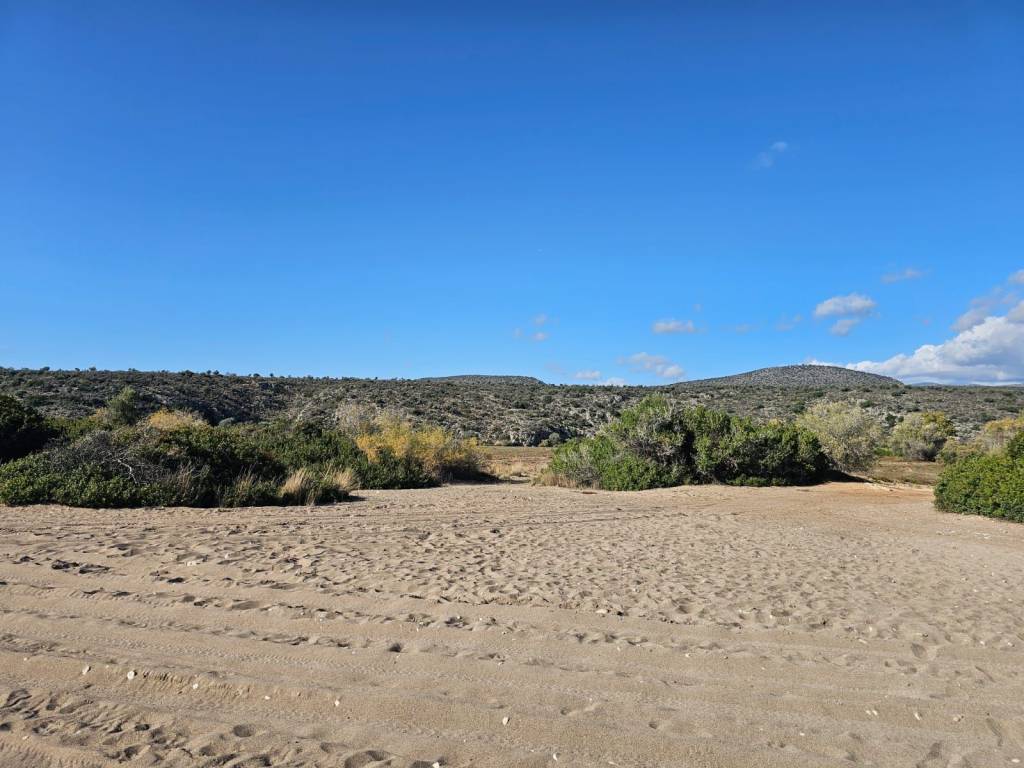 Unique investment property