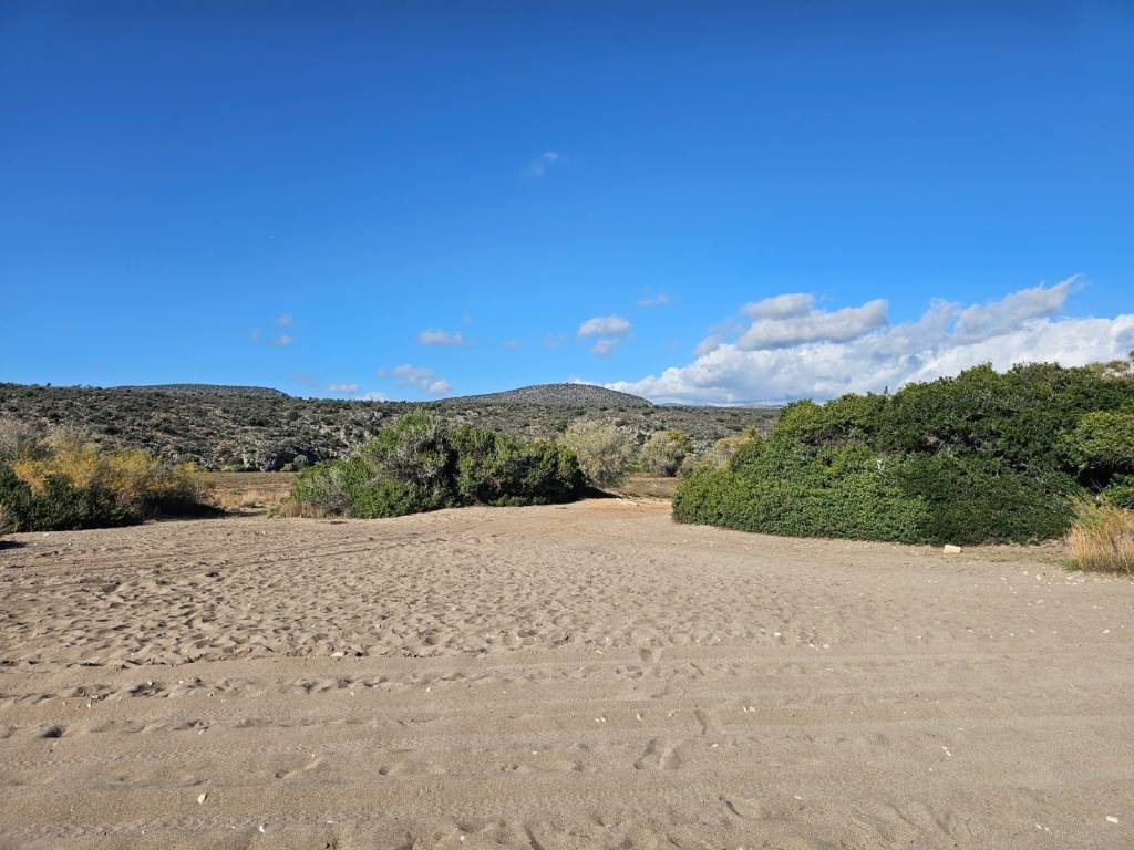 Unique investment property