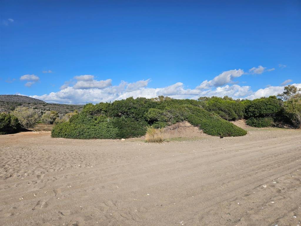 Unique investment property