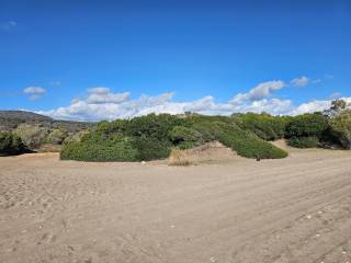 Unique investment property