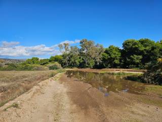 Unique investment property