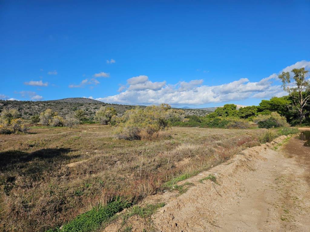 Unique investment property