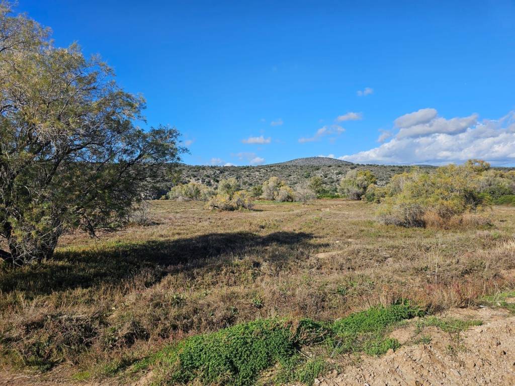 Unique investment property