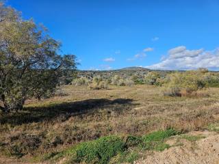 Unique investment property