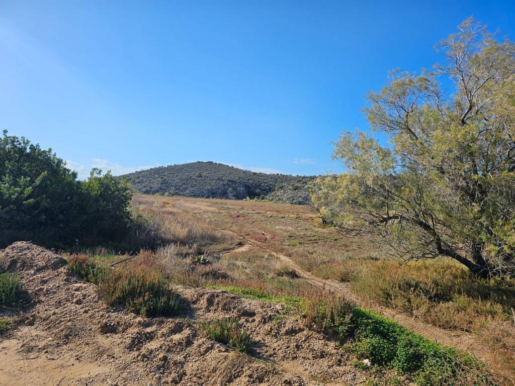 Unique investment property