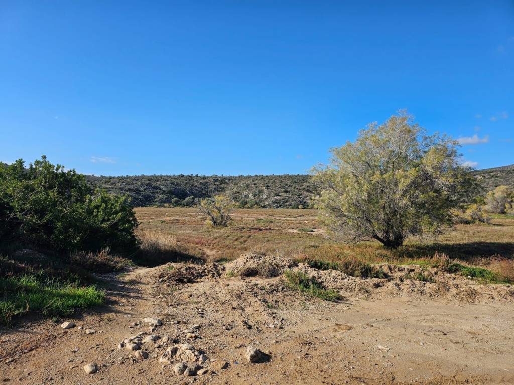 Unique investment property