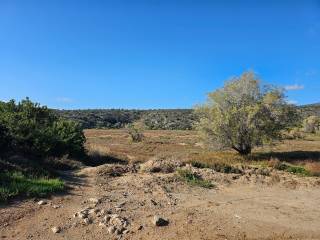 Unique investment property