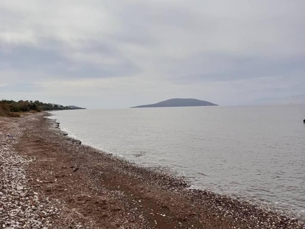 total area of 36 acres