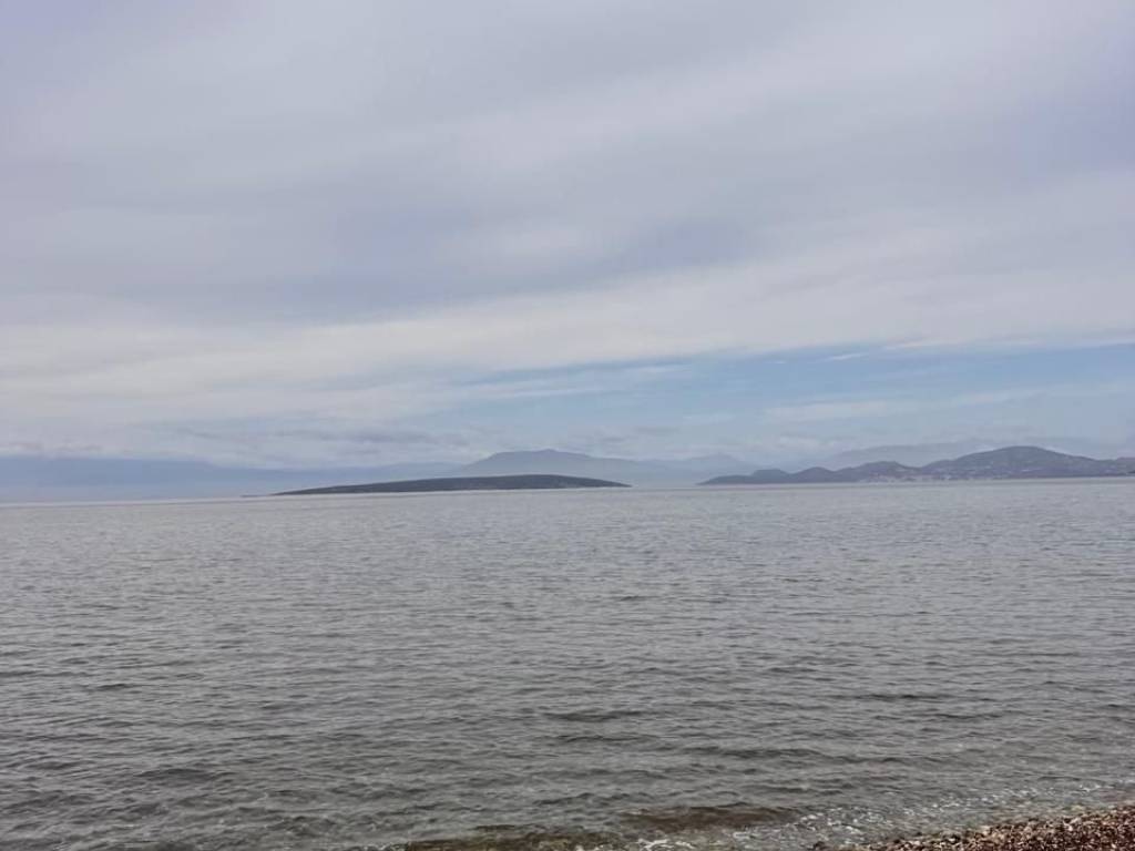 total area of 36 acres